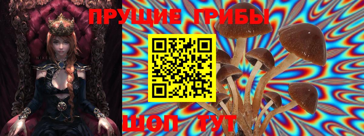 Псилоцибиновые грибы Cubensis Новоуральск